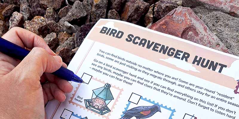 Bird Scavenger Hunt